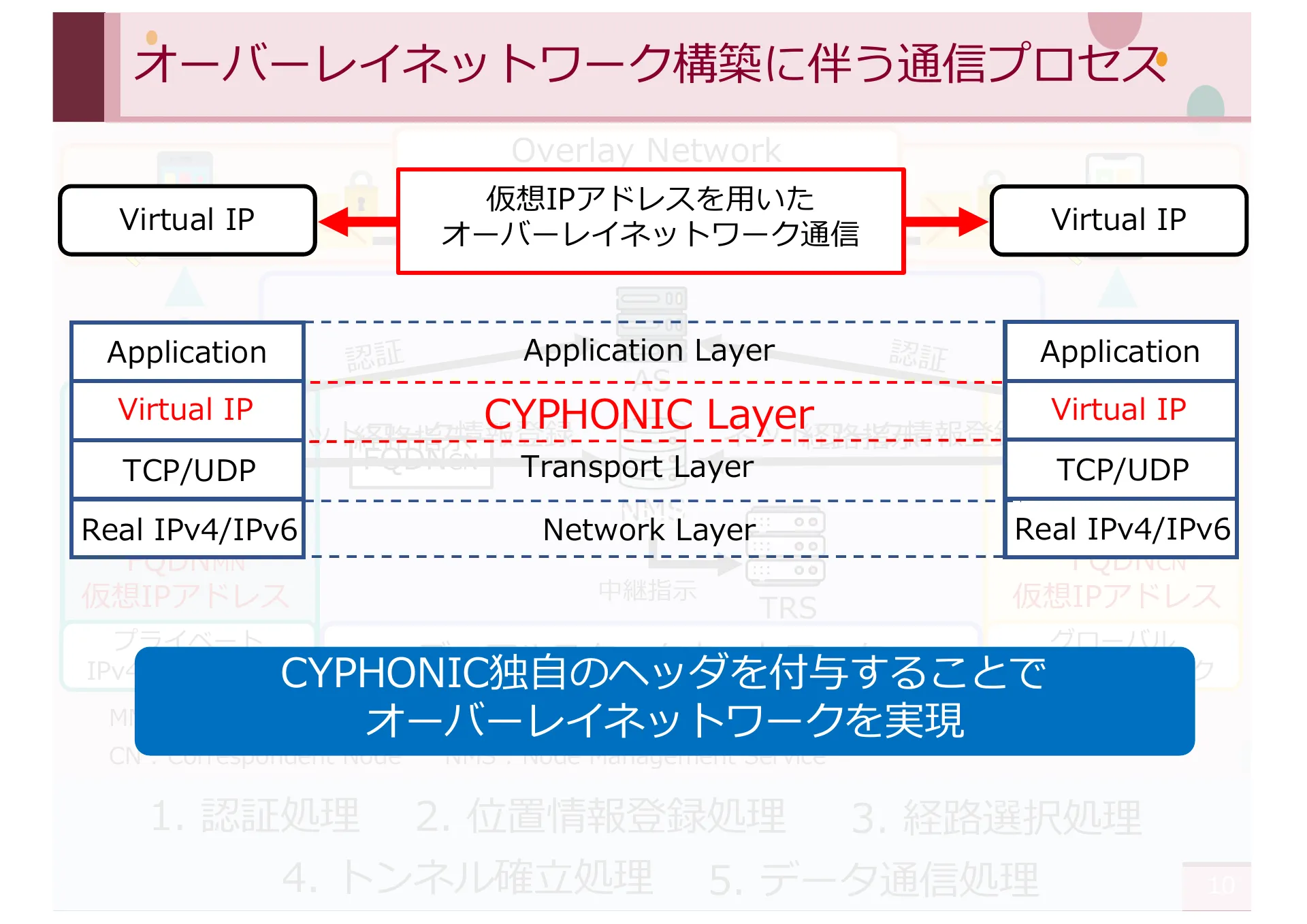 仮想 IPv4 アドレスを想定した CYPHONIC アダプタの設計と基礎評価 - Page 10