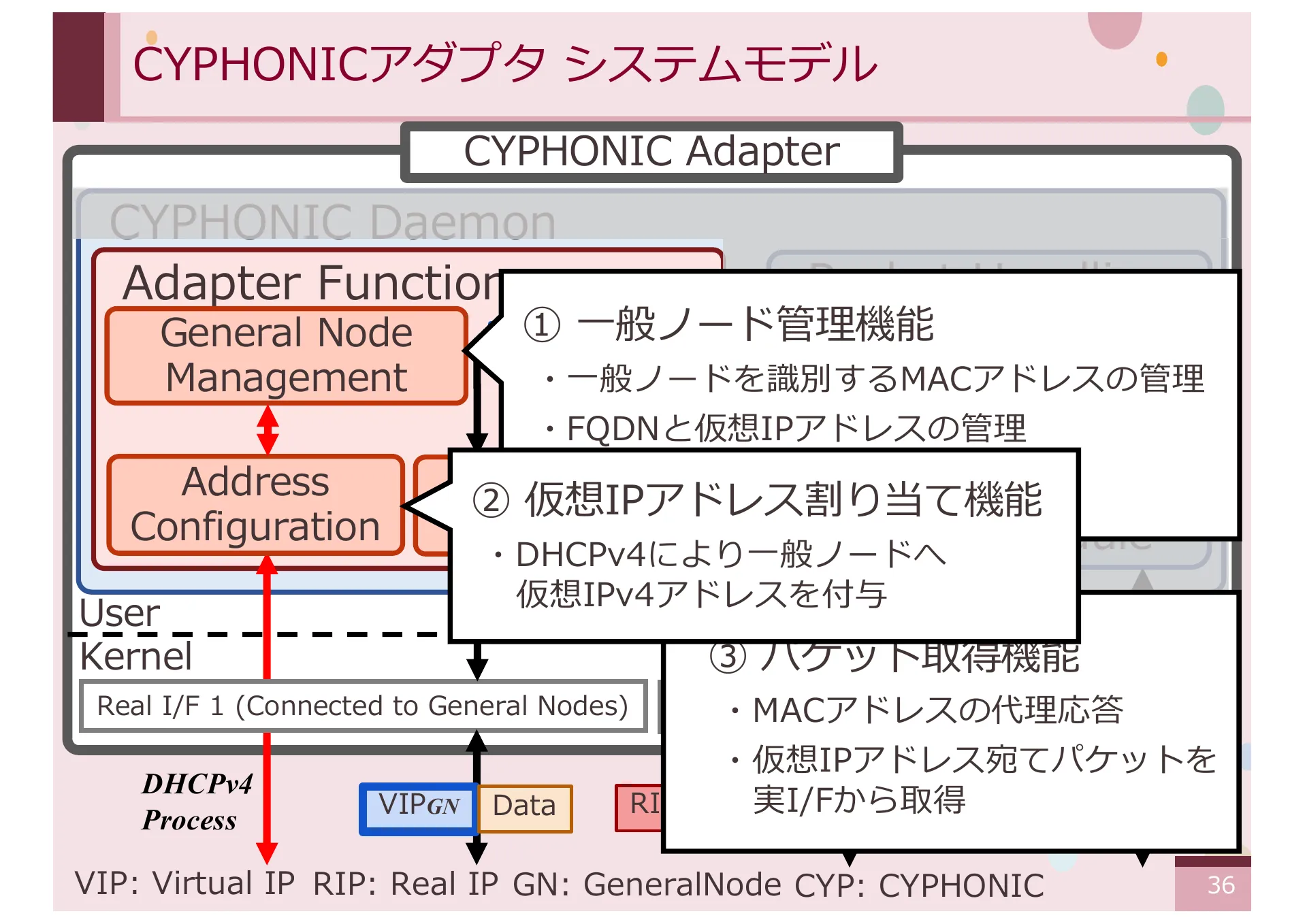 仮想 IPv4 アドレスを想定した CYPHONIC アダプタの設計と基礎評価 - Page 36