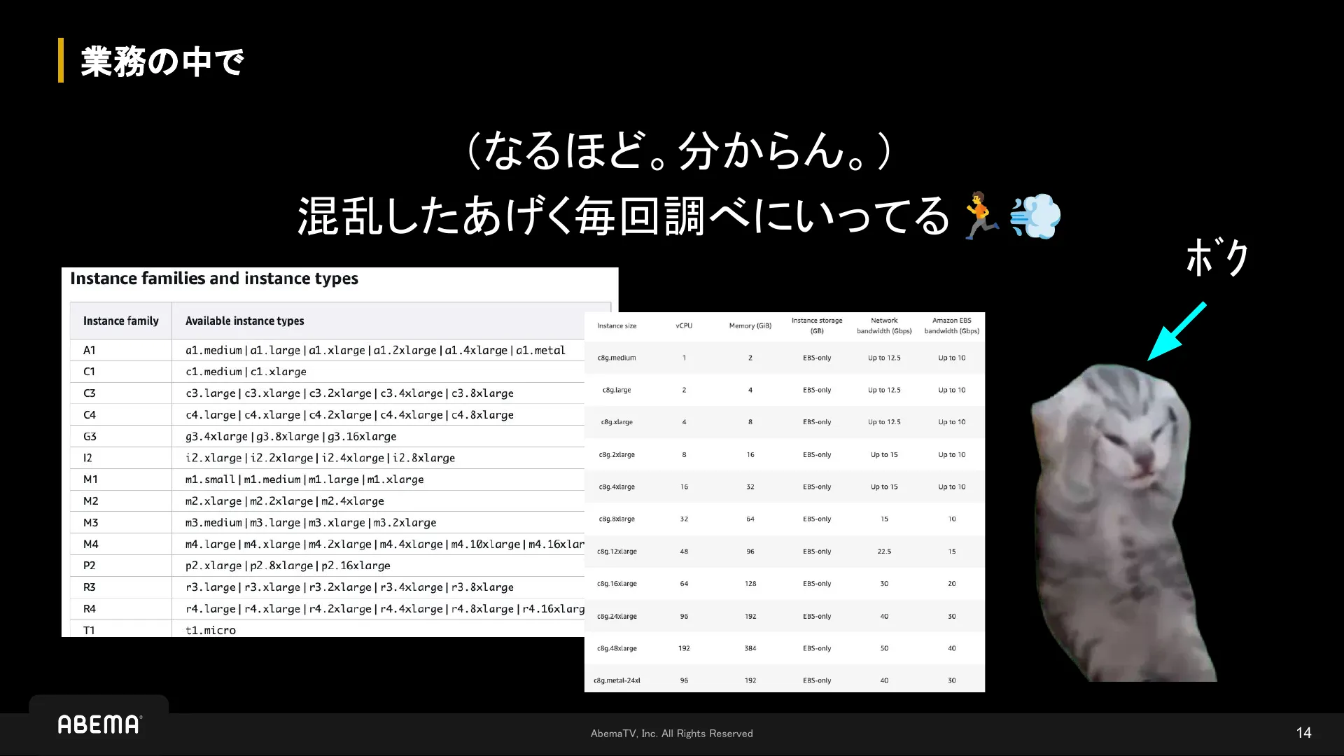 それ、覚えられる?インスタンスタイプの狂詩曲 - Page 14