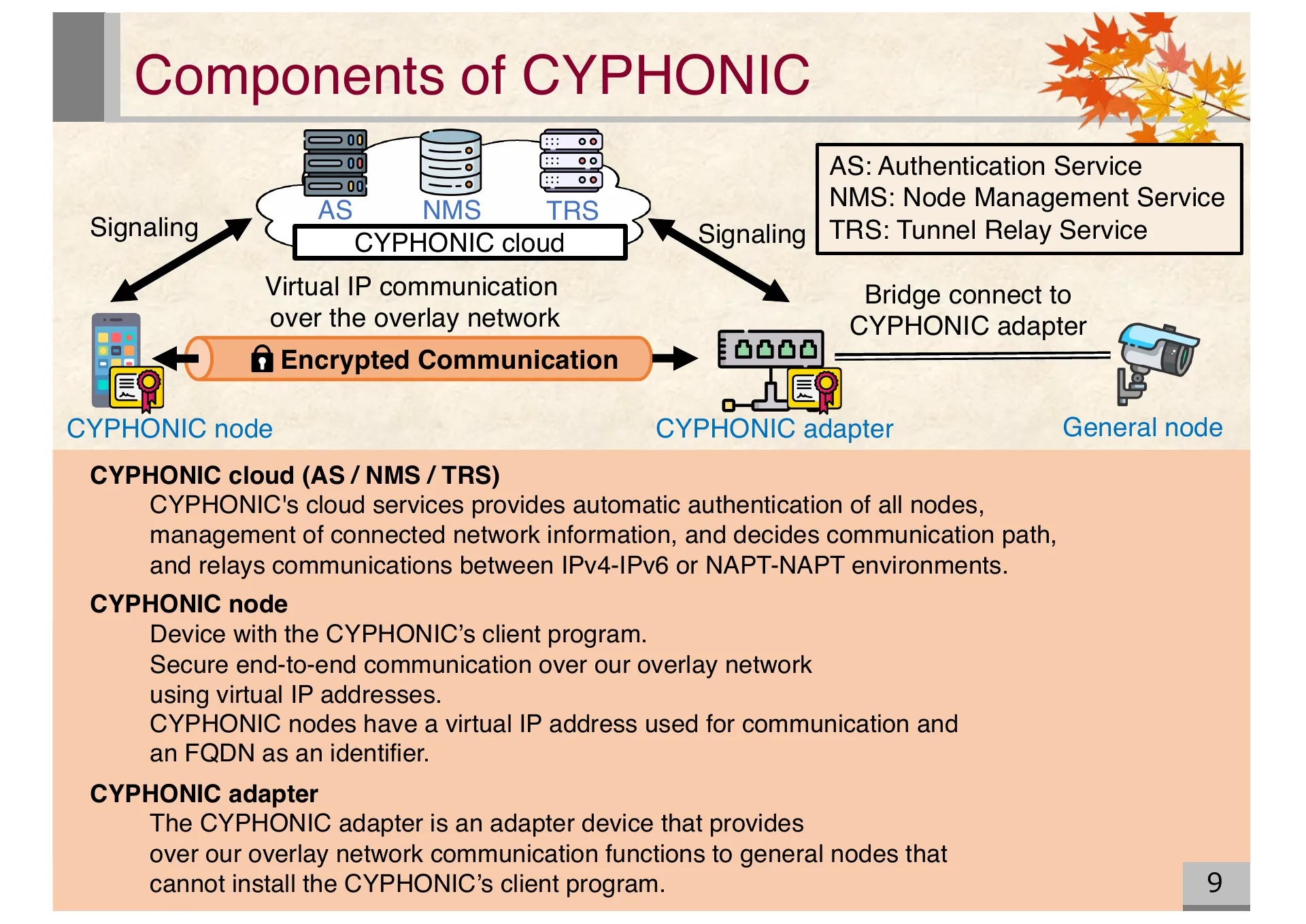Proposal of an extended CYPHONIC adapter supporting general nodes using virtual IPv6 addresses - Page 9