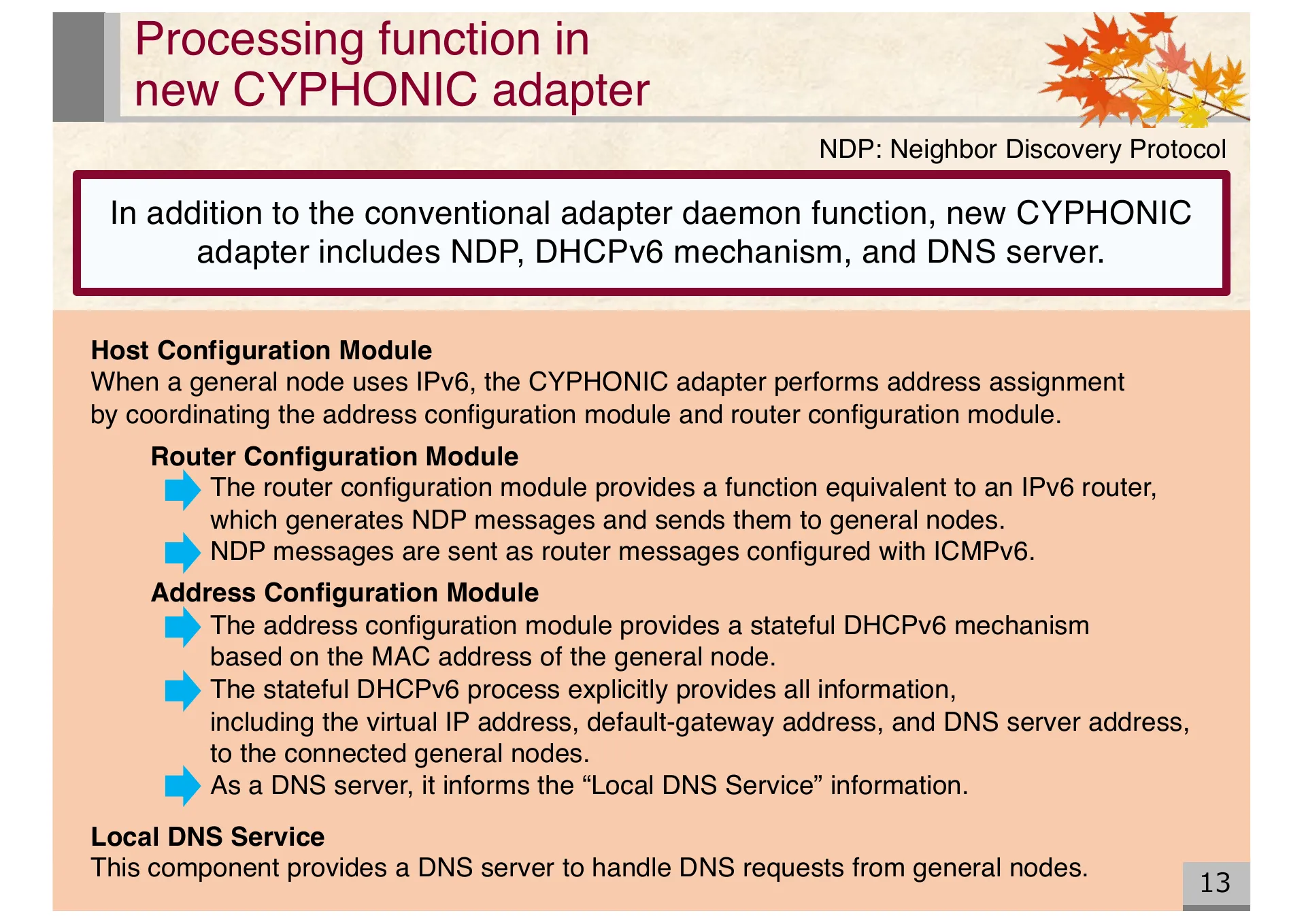 Proposal of an extended CYPHONIC adapter supporting general nodes using virtual IPv6 addresses - Page 13