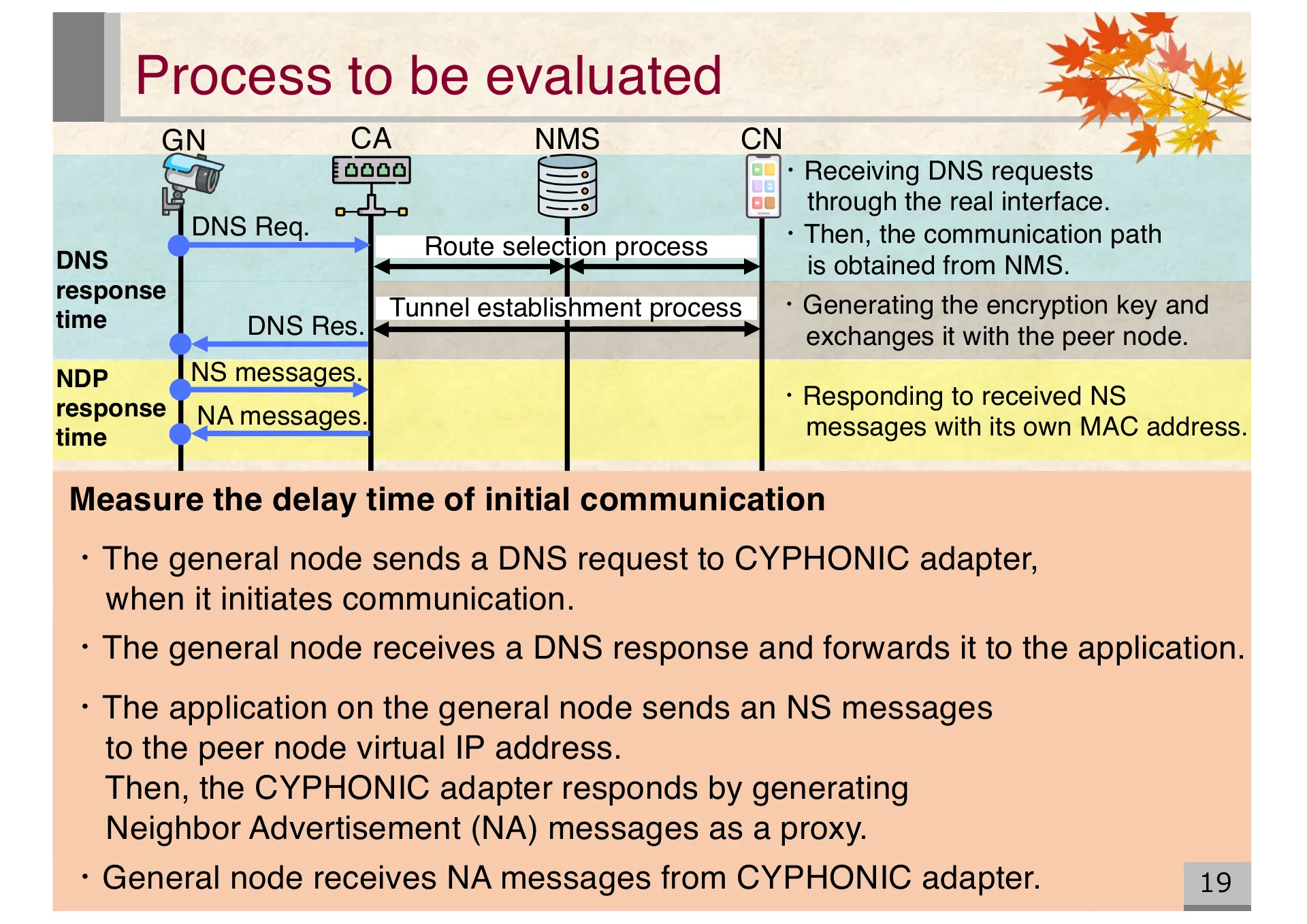 Proposal of an extended CYPHONIC adapter supporting general nodes using virtual IPv6 addresses - Page 19