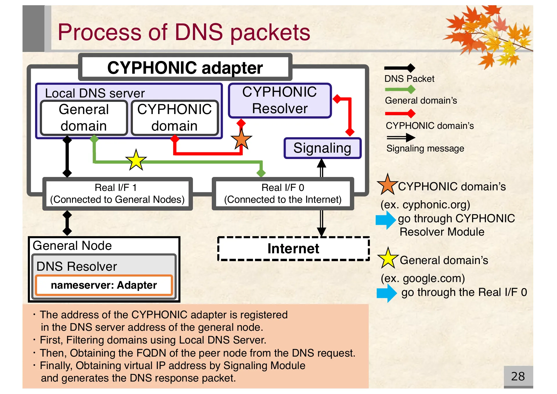 Proposal of an extended CYPHONIC adapter supporting general nodes using virtual IPv6 addresses - Page 28