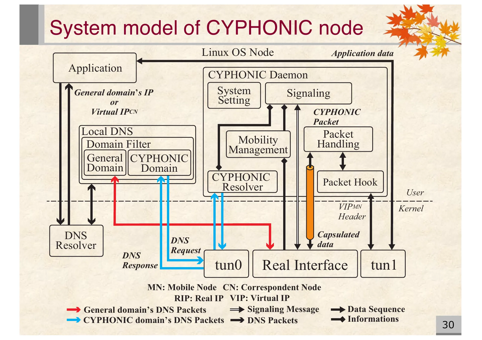 Proposal of an extended CYPHONIC adapter supporting general nodes using virtual IPv6 addresses - Page 30