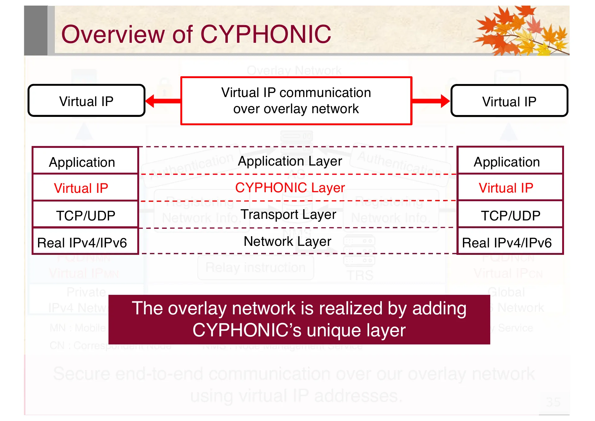 Proposal of an extended CYPHONIC adapter supporting general nodes using virtual IPv6 addresses - Page 35