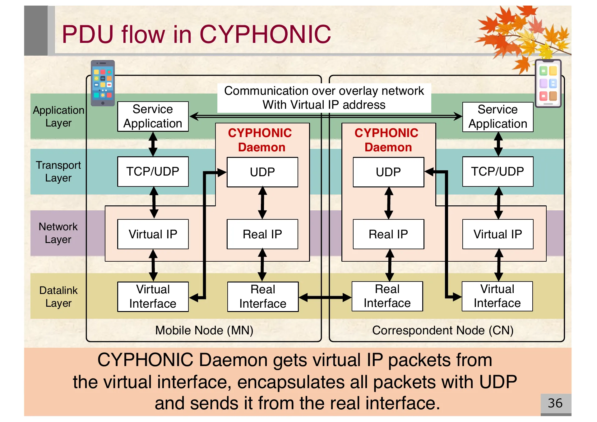 Proposal of an extended CYPHONIC adapter supporting general nodes using virtual IPv6 addresses - Page 36