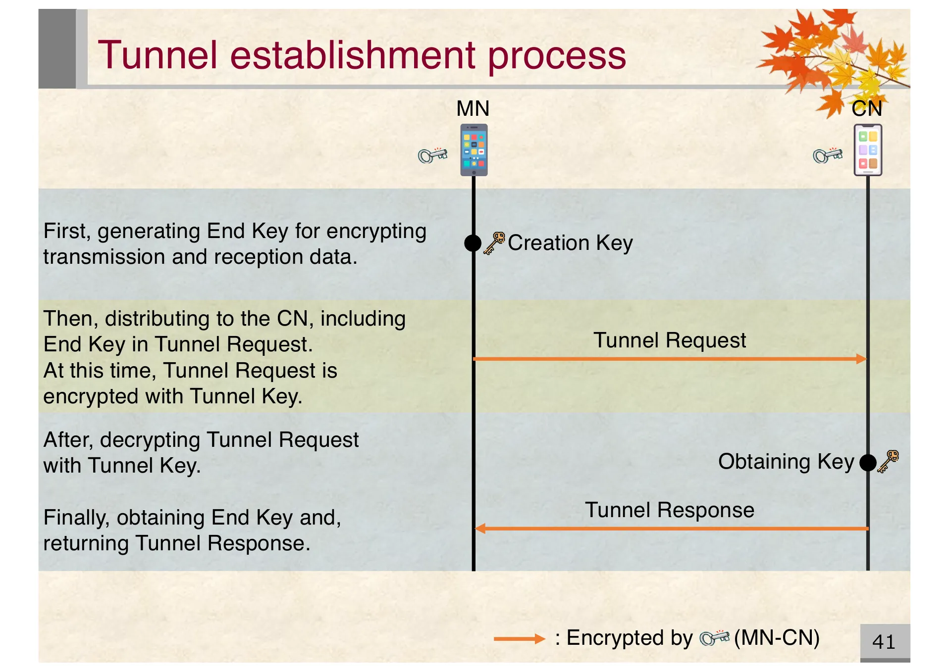 Proposal of an extended CYPHONIC adapter supporting general nodes using virtual IPv6 addresses - Page 41